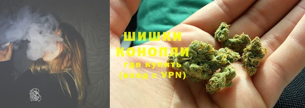 ПСИЛОЦИБИНОВЫЕ ГРИБЫ Бронницы
